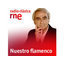 Nuestro flamenco
